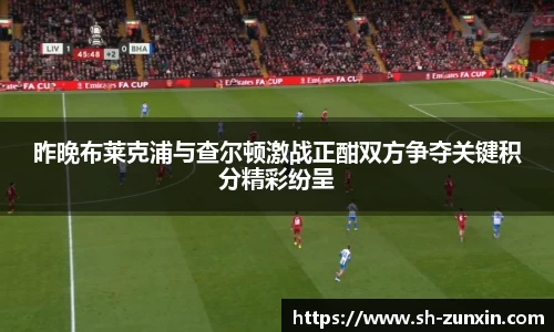 zoty中欧昨晚布莱克浦与查尔顿激战正酣双方争夺关键积分精彩纷呈